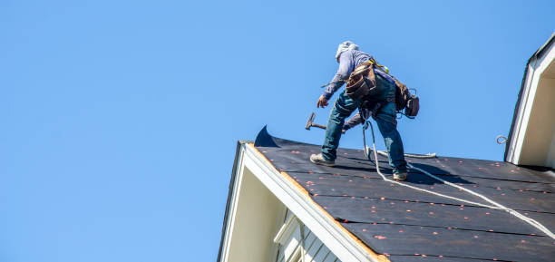Best Roof Repair Services  in Paola, KS